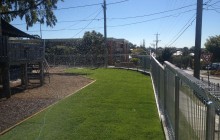 New grass and fencing